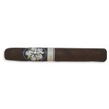 Farce Room 101 Maduro (Open)