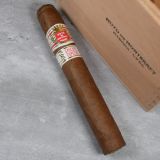Hoyo de Monterrey Epicure Especial (Open)