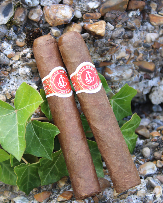 La Flor de Cano Elegidos (Open)